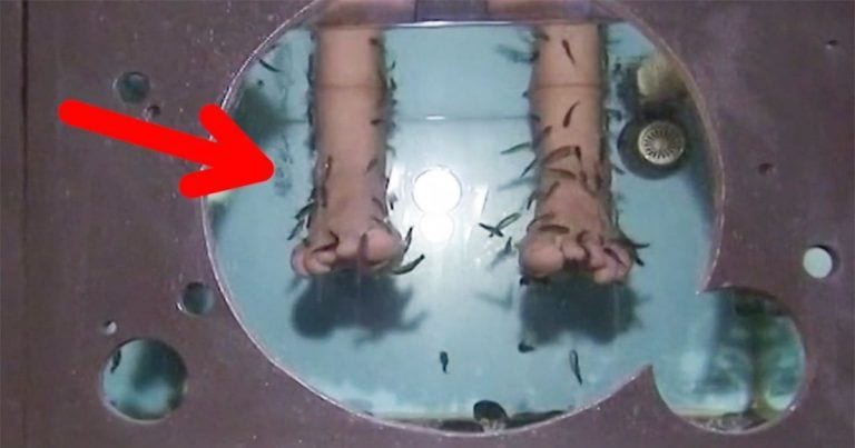 La ictioterapia o que los pececitos te coman la piel muerta, debería dejar de existir