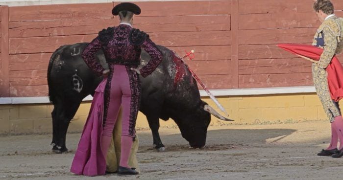 tauromaquia documental dest