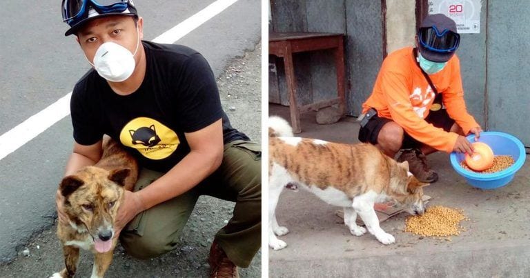 Evacuan varias ciudades de Indonesia por la erupción de un volcán y los obligan a abandonar a sus mascotas