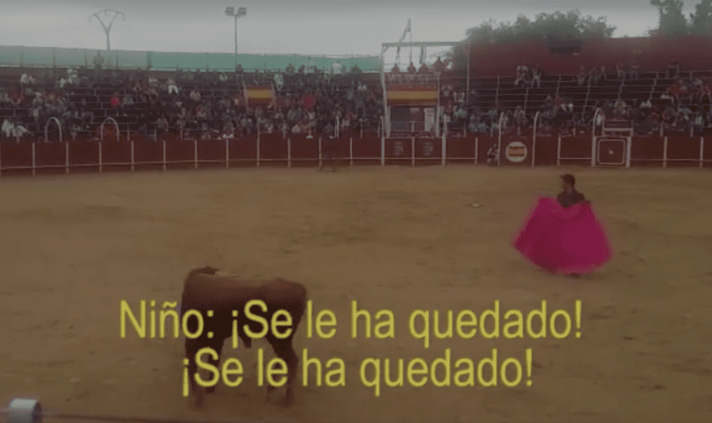 corrida de toros