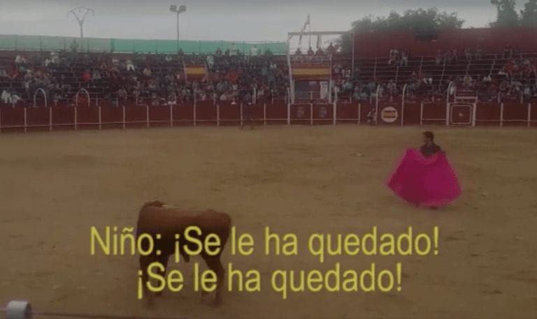 Reacción de un niño viendo una corrida de toros y cómo una mujer acaba con su empatía