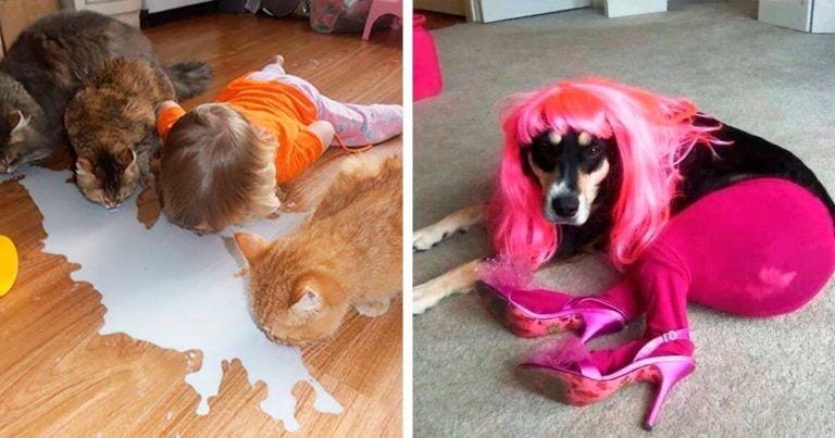 11 razones por las que no deberías dejar a tu mascota a solas con niños