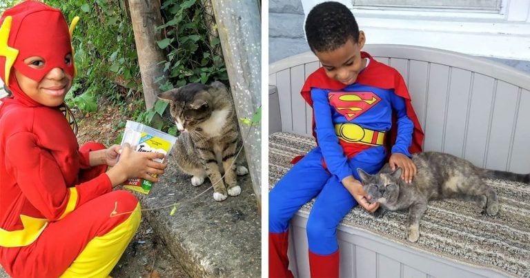 Este pequeño se viste cada día de superhéroe para hacer algo adorable con estos gatitos callejeros