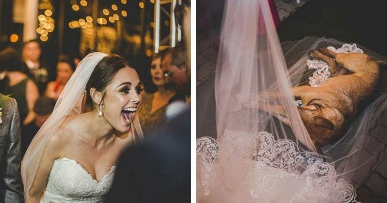 Este perro se coló por sorpresa en su boda y acabaron adoptándolo