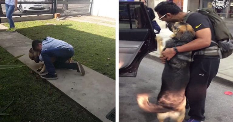 Emocionantes reacciones al reencontrarse personas y mascotas tras mucho tiempo