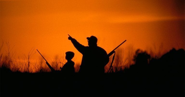PACMA pide a Galicia y Asturias la total prohibición de la caza tras los incendios