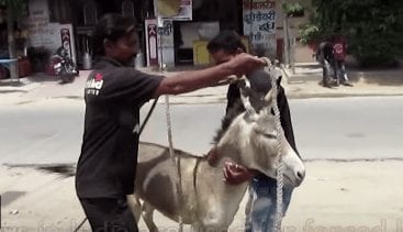 Captura de pantalla 2018 09 21 a les 12.52.35 e1537527387141