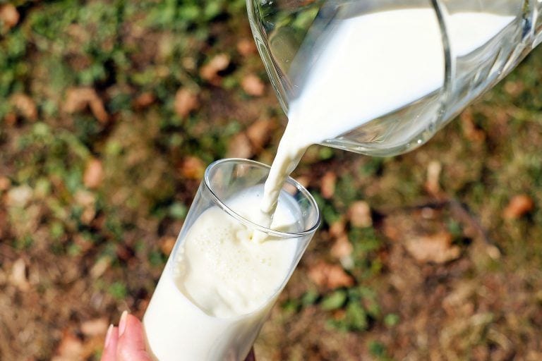 8 mitos sobre el consumo de lácteos