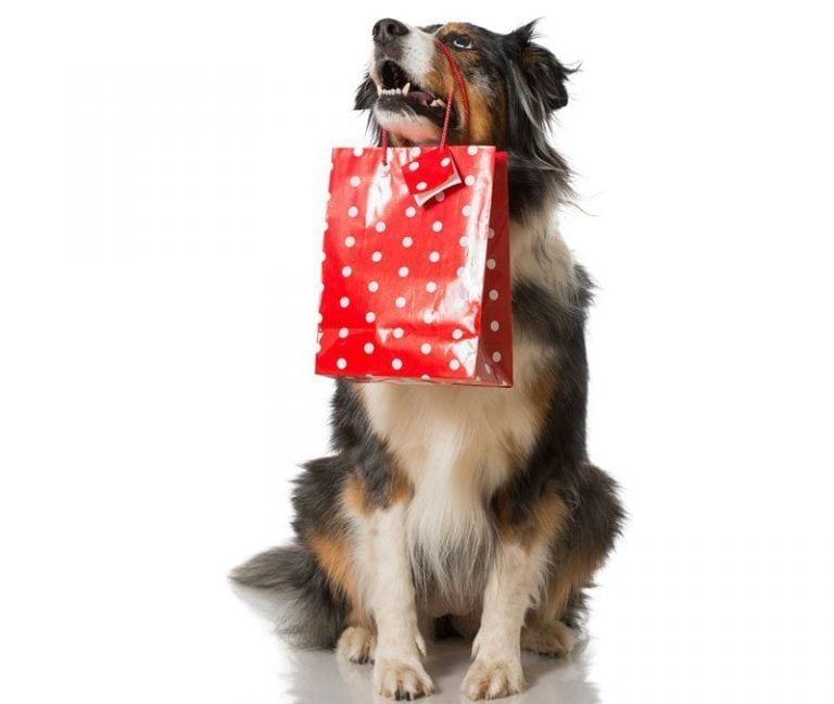 Los mejores regalos para tus mascotas