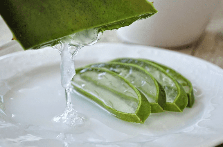 Aloe vera: el mejor tratamiento para una piel saludable