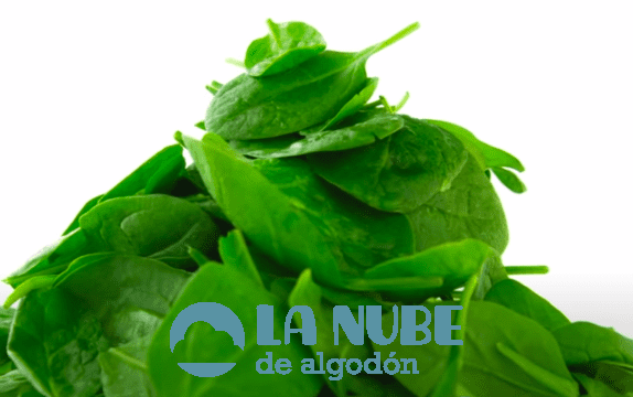 espinaca1