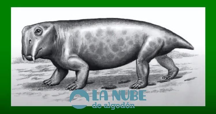 Descubren al animal que hiberno por primera vez