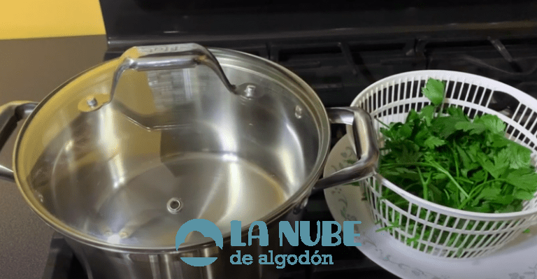 Cómo utilizar perejil para limpiar tus riñones naturalmente