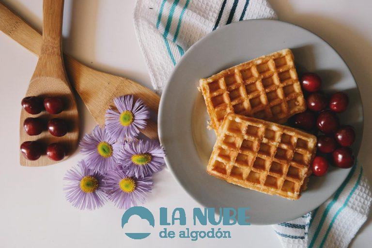 ¿Cuáles son los diferentes tipos de waffles?