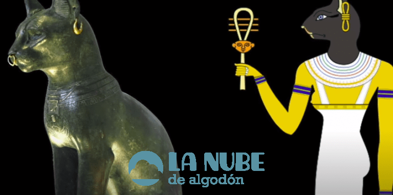 ¿Los gatos alejan las malas energías? Verdad o Mentira