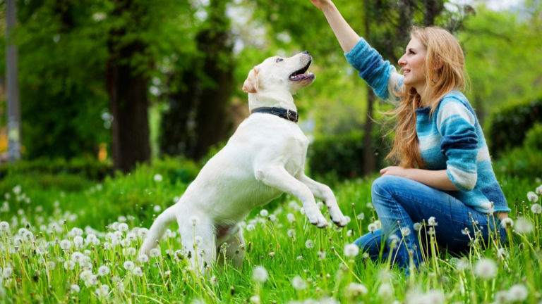 Las razones por las que una mascota te hará siempre feliz