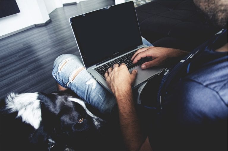 Vídeos del teletrabajo con mascotas que te alegrarán el día
