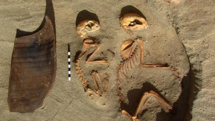 Descubren el cementerio de mascotas mas antiguo del mundo