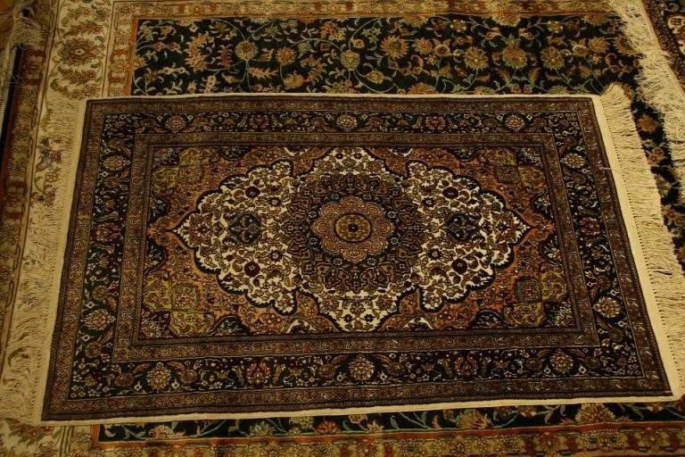 Conoce los métodos adecuados para combatir el moho en pisos y alfombras
