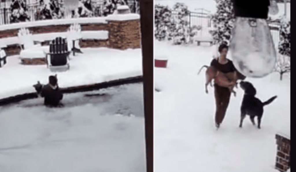 Para salvar a su perro salta a piscina congelada