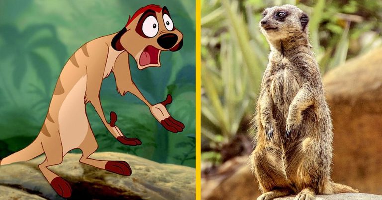 Fotos de animales que copian personajes de peliculas