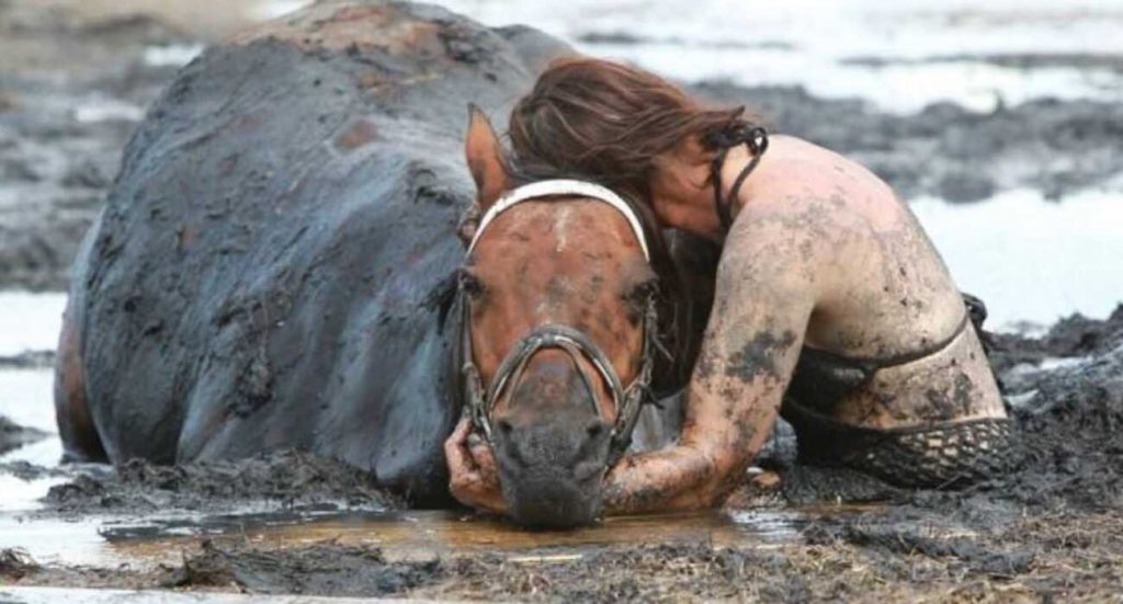 Salva su caballo sosteniéndolo por más de 3 horas para que no se ahogue